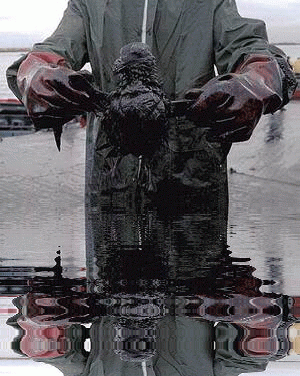 oil-spill_reflection.gif